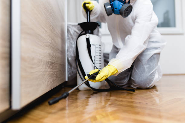 Best Emergency Pest Control  in Virginia, IL