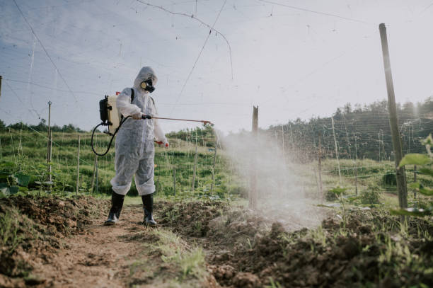 Best Local Pest Control Services  in Virginia, IL
