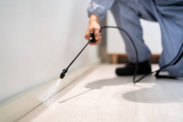 Best Mosquito Control Services  in Virginia, IL