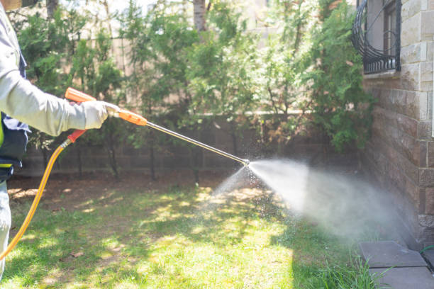 Best Ant Control Services  in Virginia, IL