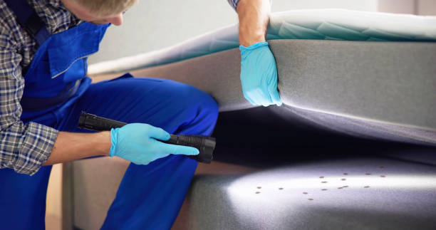 Reliable Virginia, IL Pest Control Solutions
