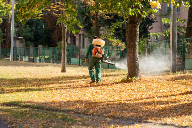 Best Bird Control  in Virginia, IL