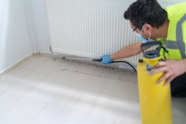 Best Pest Control for Homes  in Virginia, IL