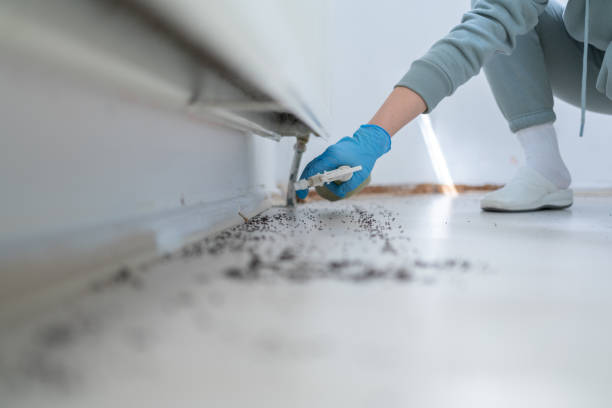 Best Exterminator Services  in Virginia, IL