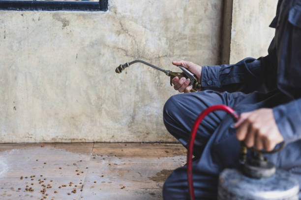 Best Best Pest Control Companies  in Virginia, IL